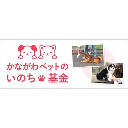 かながわペットのいのち基金